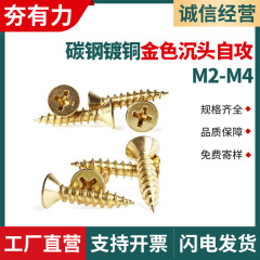 金色平頭タッピングねじ炭素鋼黄色銅メッキ家具沈頭十字タッピングねじm2/m3/m4/ka