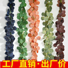 彩色尤加利藤条仿真植物桉树金钱叶缠绕绿叶藤蔓家居婚庆布景摄影