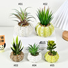 Realistic flowerpot, creative jewelry for office for living room, decorations