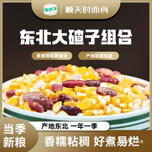 东北大碴子组合芸豆笨大碴粥粘碴子粥玉米糁粘苞米五谷杂粮粗粮