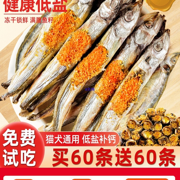 Cat Snacks Freeze-Dried Multi-Spring Fish Nutrition Fattening Hair Gill Training Full Seed Dried Fish Teeth Grinding into Kitten Food Snacks