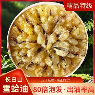�L��ɽѩ�������������l����͖|��ѩ�������l