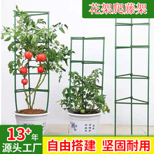 跨境热销番茄笼支架批发西红柿植物支撑杆园艺包塑钢管月季爬腾架