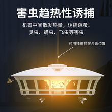 �羳����¶�I�҃��T����ճ�����nω���mosquito��������T���x��