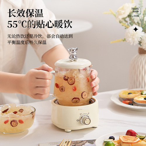 Mini Health Pot Small Office One-Person Multifunctional Home Water Boiling Flower Tea Pot Health Cup Electric Steamer Gift