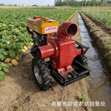 ���ˮ����6�������� ũ����ܹ����ˮ�� �̻����ƶ�����