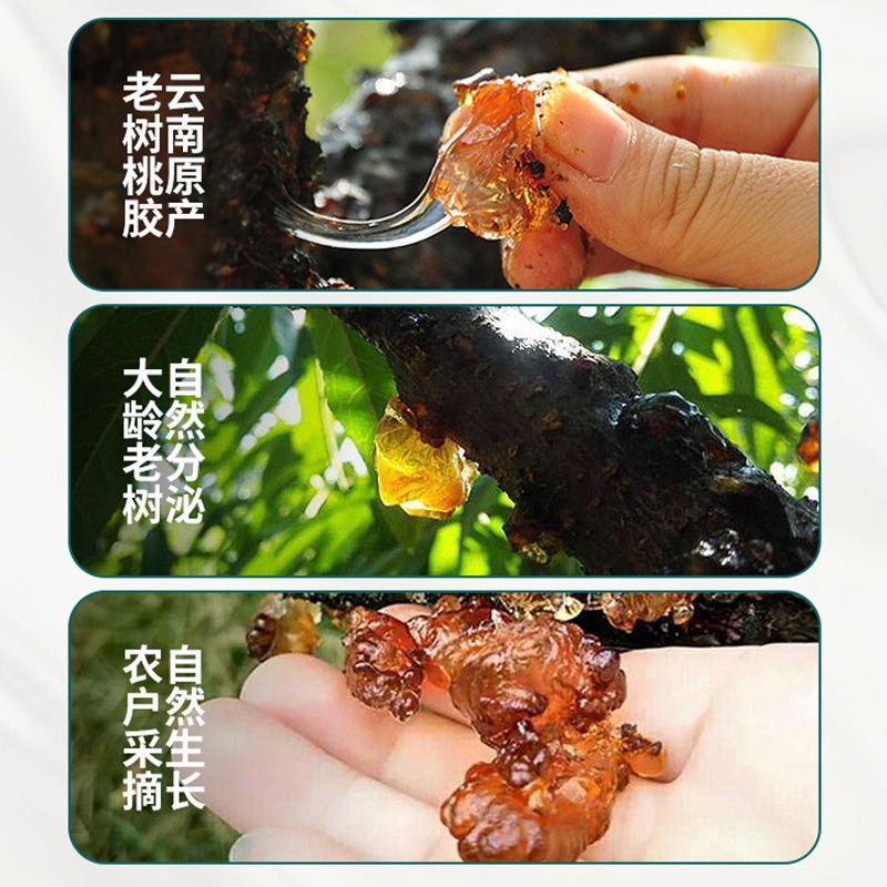 Peach Gum Tao Jiao Large Granules 100g Natural Resin for Dessert Soups and Herbal Pairings preparation