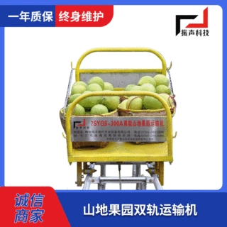 山地果园双轨运输机定做果园农用爬坡设备肥料水果运输机加工定制
