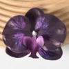 3D film deep purple (large)