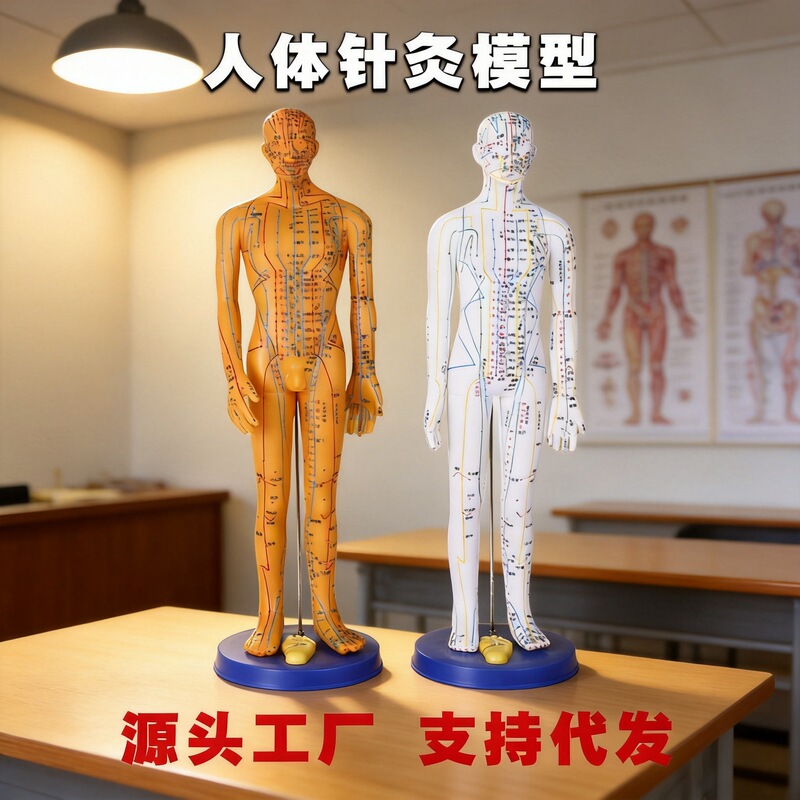 Human acupuncture model, meridian and acupoint points, traditional Chinese medicine, small copper figure of the twelve meridians, suitable for cleaning both male and female body models Human acupuncture model, meridian and acupoint points, traditional Chinese medicine, small copper figure of the twelve meridians, suitable for cleaning both male and female body models