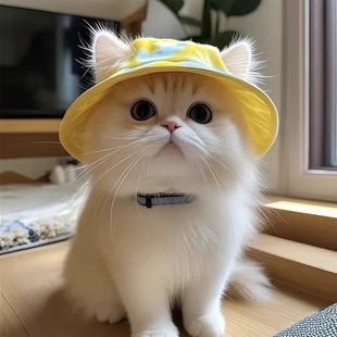 ✅ Cat Fisherman Hat with Large Brim, Summer Sun Protection, Cat Hat, Cute Exposed Ears, Pet Kitten Fisherman