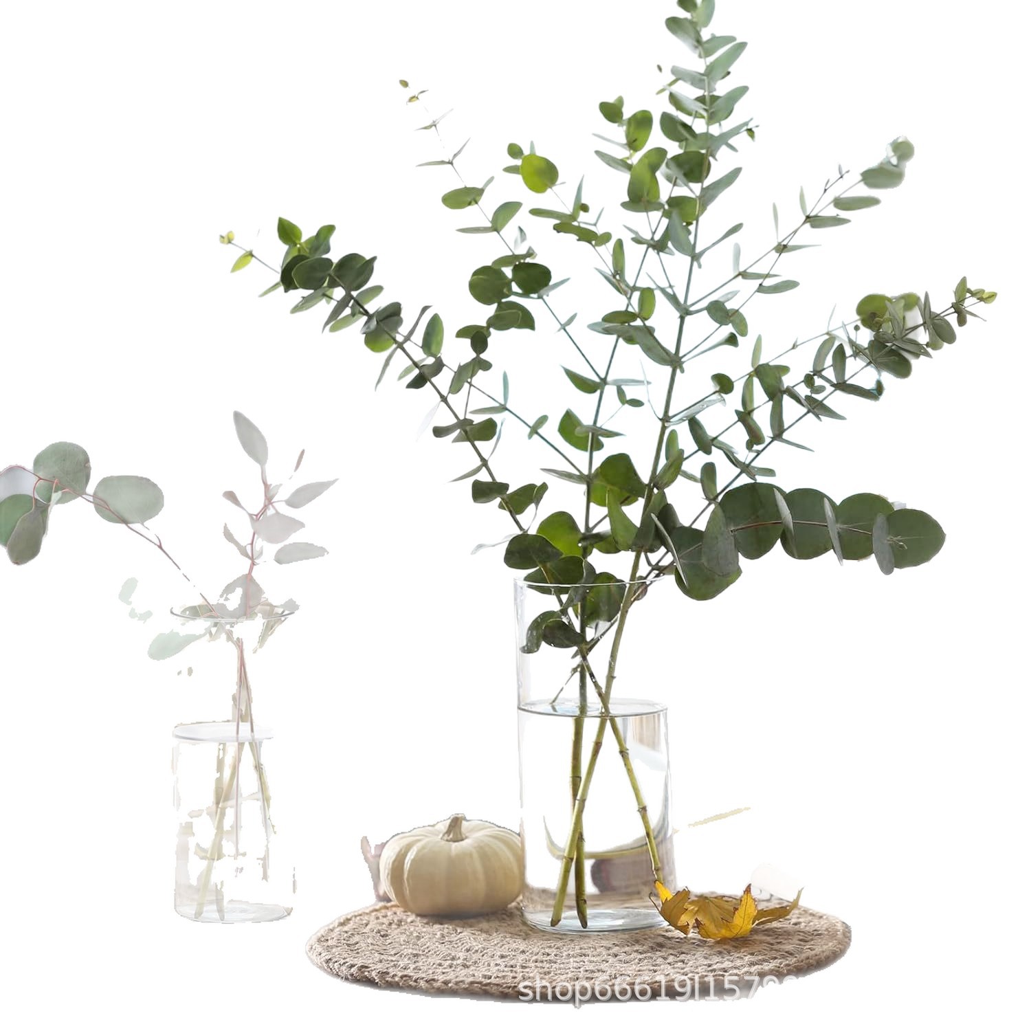 Vaso de vidrio decorativo transparente nórdico ins viento sala de estar decoración creativa vasijas de vidrio flores secas al por mayor hidroponic image 6