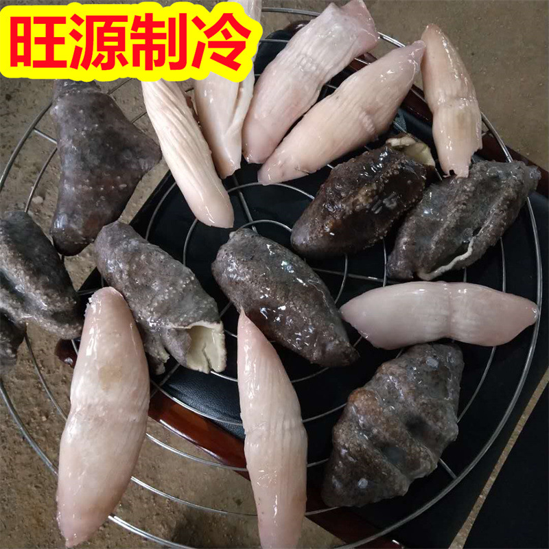 海参速冻机 隧道式单冻机 海产品扇贝冷冻设备 多种物料均可冷冻