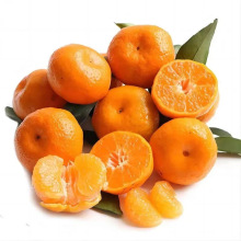 �V��ɳ�ǽ�Сɰ���������������]���rˮ��ɰ�ǽ�һ�����l