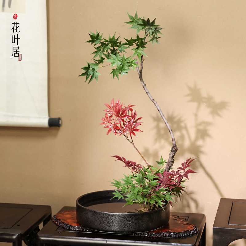 剑山插花器皿陶瓷圆盘花器中式日式禅意小原流插花水盘水培盆花盘
