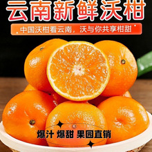 ����e���ָ̳�����ӱ�Ƥ�����Fժ�ЋDˮ�����r������������