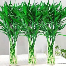 FˮֲԾGֲ҃Ȼ͏dˮBG}񹝹һl