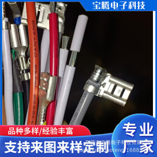 U-shaped/O-shaped/plum blossom stop slip terminal wire 250/187 plug spring terminal wire electrical power supply internal wiring lead