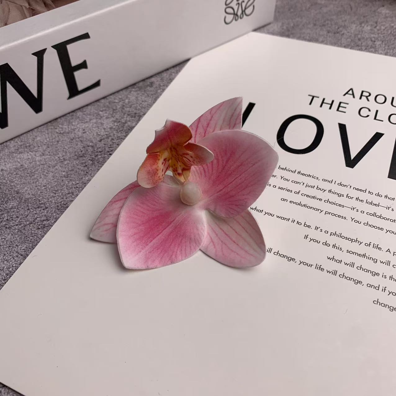 미니 호접란 꽃잎 파우더 3