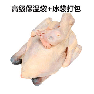 һ�����B&reg;���_���uѩɽ���u800g&plusmn;150g/ֻ��հ��b�������l
