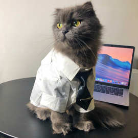 宠物泰迪春夏薄款雪纳瑞比熊博美狗狗猫咪潮牌衬衣中小型犬衣服