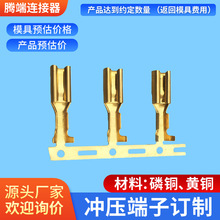 4.8�B��ֱ��ĸ����6.3�Ӳ���܇�Ӿ����� 2.8����朽Ӿ�����