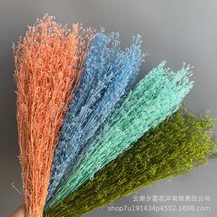 ���ǻ��������滨���r���廨�������λ�ƿ�o����޹diyֲ�����