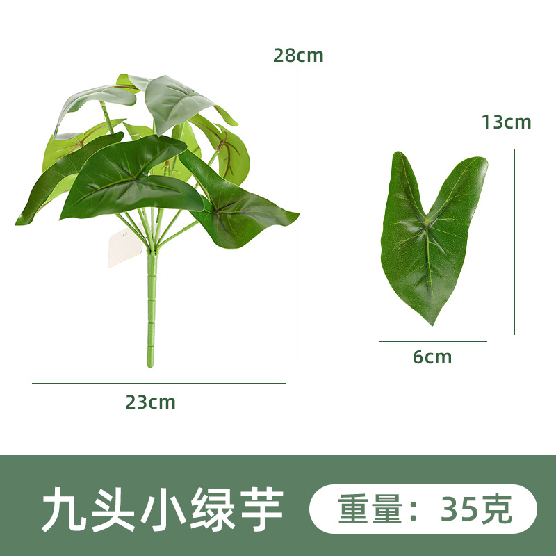 YH1264-270-9 9 작은 녹색 토란