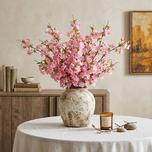 ���溣�Ļ�����ѻ��ߙn�����Ҿ��b��һ��[����Y�û�c�����ٻ�