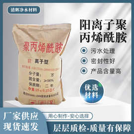 水处理30阳离子聚丙烯酰胺高分子絮凝剂pam聚丙 助沉剂