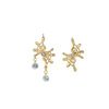 Design earrings, advanced fashionable silver needle, trend of season, silver 925 sample, high-quality style, wholesale