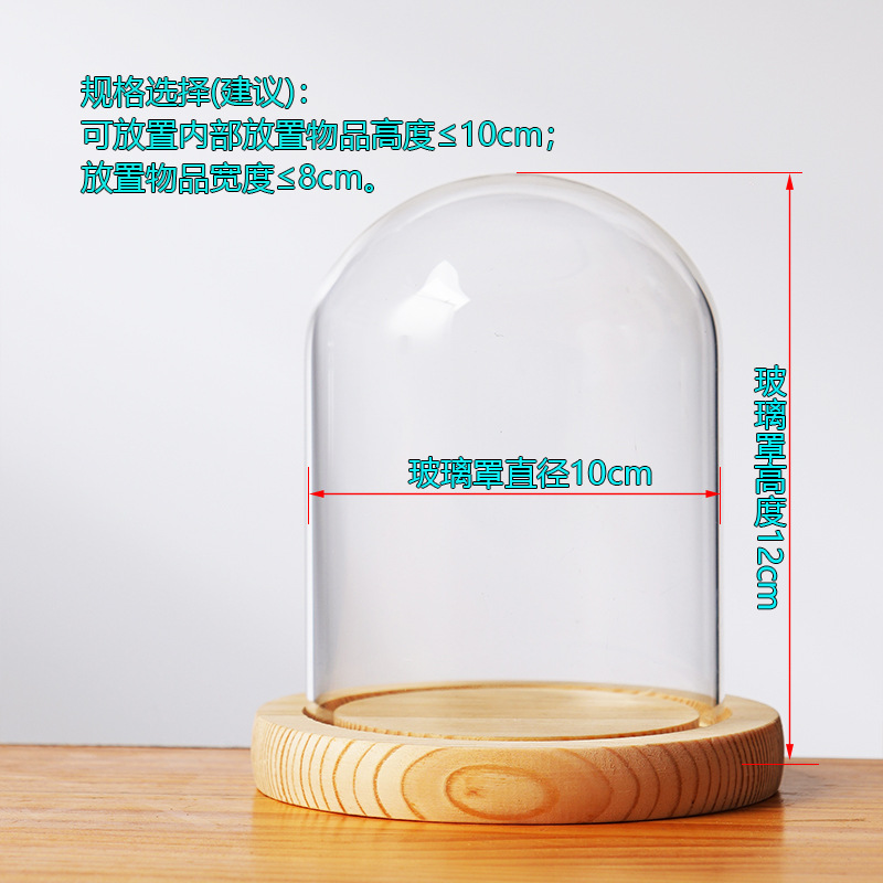Cubierta cilíndrica de vidrio transparente sin lámpara de madera de estilo inmortal cubierta de polvo de flores hecha a mano decoración creativa de escritorio de bloques