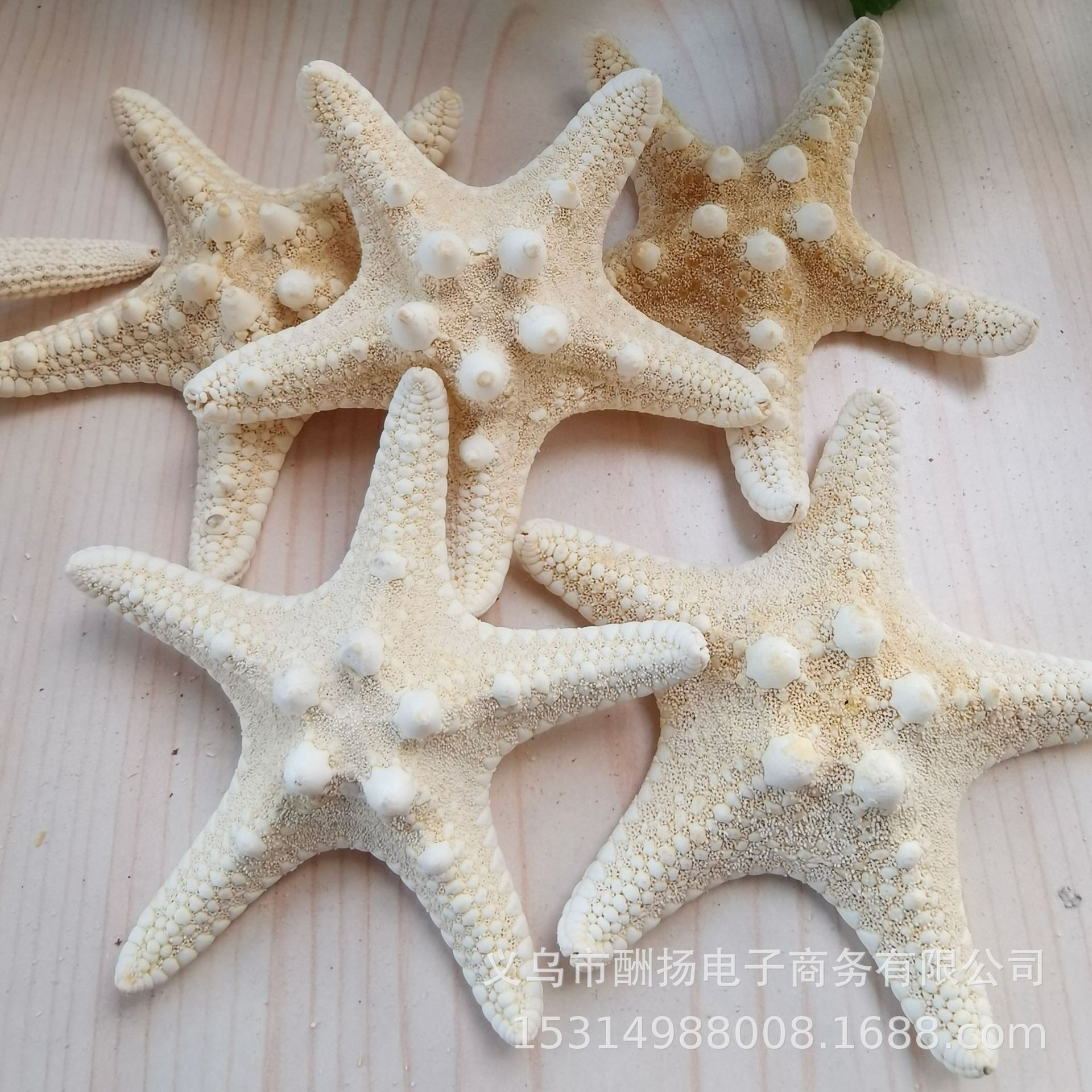 8-12cm steamed buns starfish 1