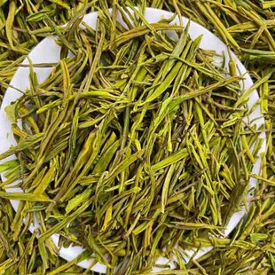 �S��ѿ�G����ǰ����l���^��ͬҎ��һ�����l�ڼZ�茣�^�S��ѿ1̖