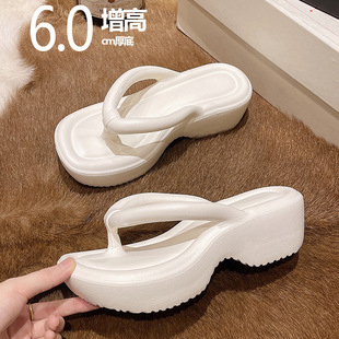 Zhao Rusi Slippers for Women's Shit-feeling Outwear Summer Korean-style Instagram-style Fairy-style Thick Bottom Flip-flops High Heels