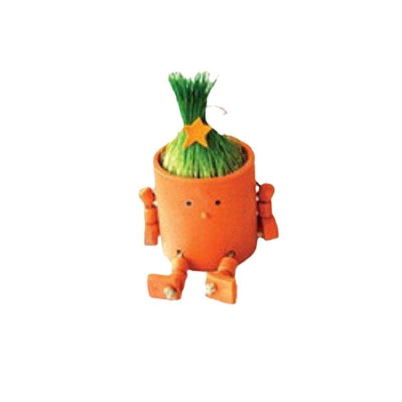 ��ֲ����ֲ����������� �������ſᷢ�ͻ��� ���Թ���Ʒ�ڼ�����