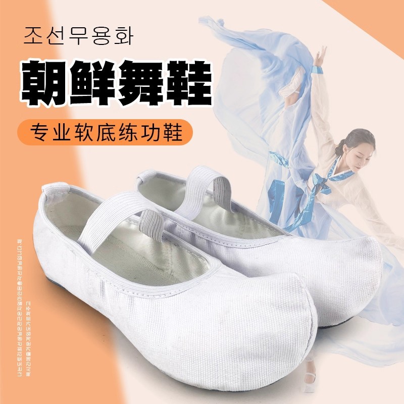 Korean Dance Shoes Korean Traditional Hook Shoes White Classical Dance Shoes Indoor Practice Shoes Kidsren Adult Canvas