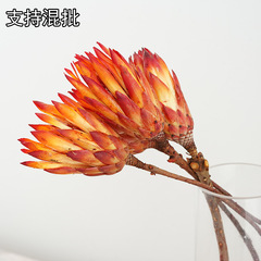 【姫花】北欧天然真花雪蓮花輸入花美容店
