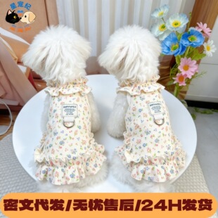 ���ﹷ��؈��С�·��U��͸�⽵��С��Ȯ������С�������챡͸��