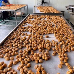 �t����� �x���خa �����W�tʳƷ���y���c�S�����lֱ�Nһ�����l