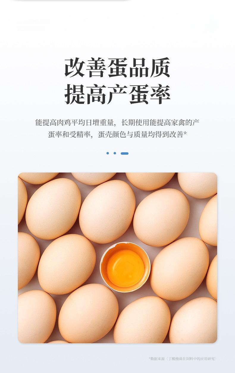 微信图片_20250223102429