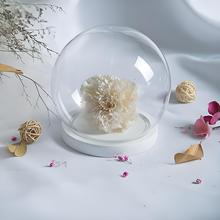 永生花玻璃罩防尘透明罩黑色底座盆栽手办展示玻璃工艺品纯手工