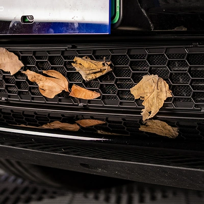 Automobile anti-insect net — Split Insect-Proof Net Accessories