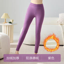 厂家批发德绒无痕秋裤女加厚加绒保暖裤加大高腰打底裤内穿发热冬