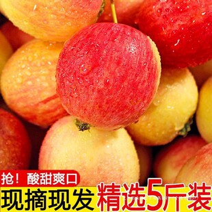 YF���r�ЋDС�O�����]�Fժ���5ɳ���������亣�Ĺ�ˮ������|��k