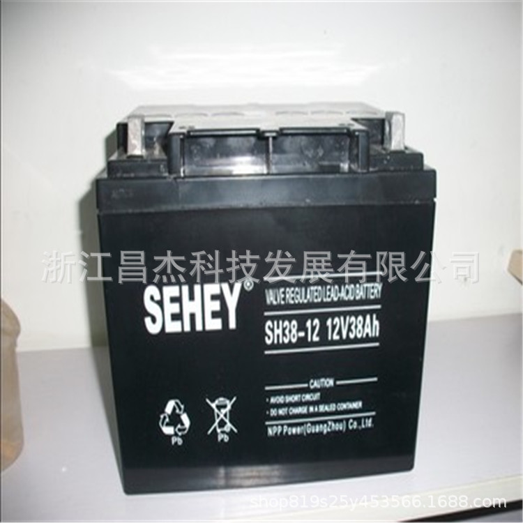 SEHEY西力蓄电池12V38AH  免维护SH38-12 UPS电源直流屏后备电源