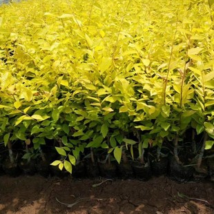 ���~�ܠI�B���� ������  �ؽӾG�h�� ���~��ľ�ͺ�