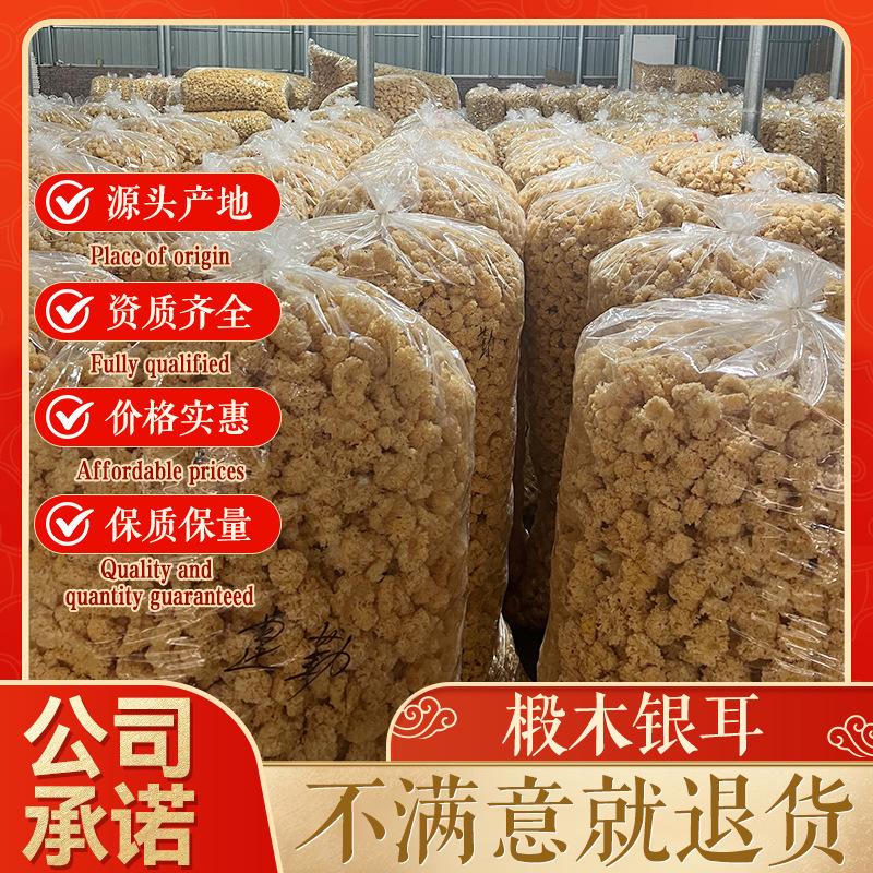 椴木小银耳  白木耳 椴木雪耳糯耳精选无硫胶质多500g厂家批发