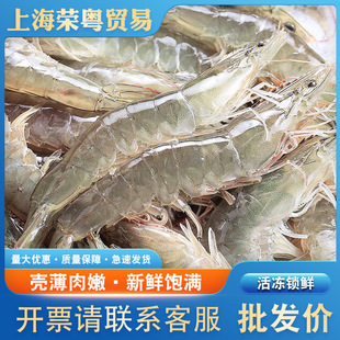 ��������������r�r�����r �r�r������rˮ�a�͏d���r����