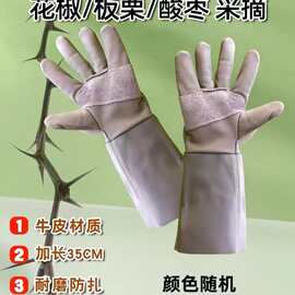牛皮防刺手套防扎园林园艺专用剥榴莲摘板栗修剪花椒月季玫瑰手套